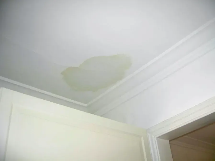 A brown water stain spreading over a white ceiling beside crown molding